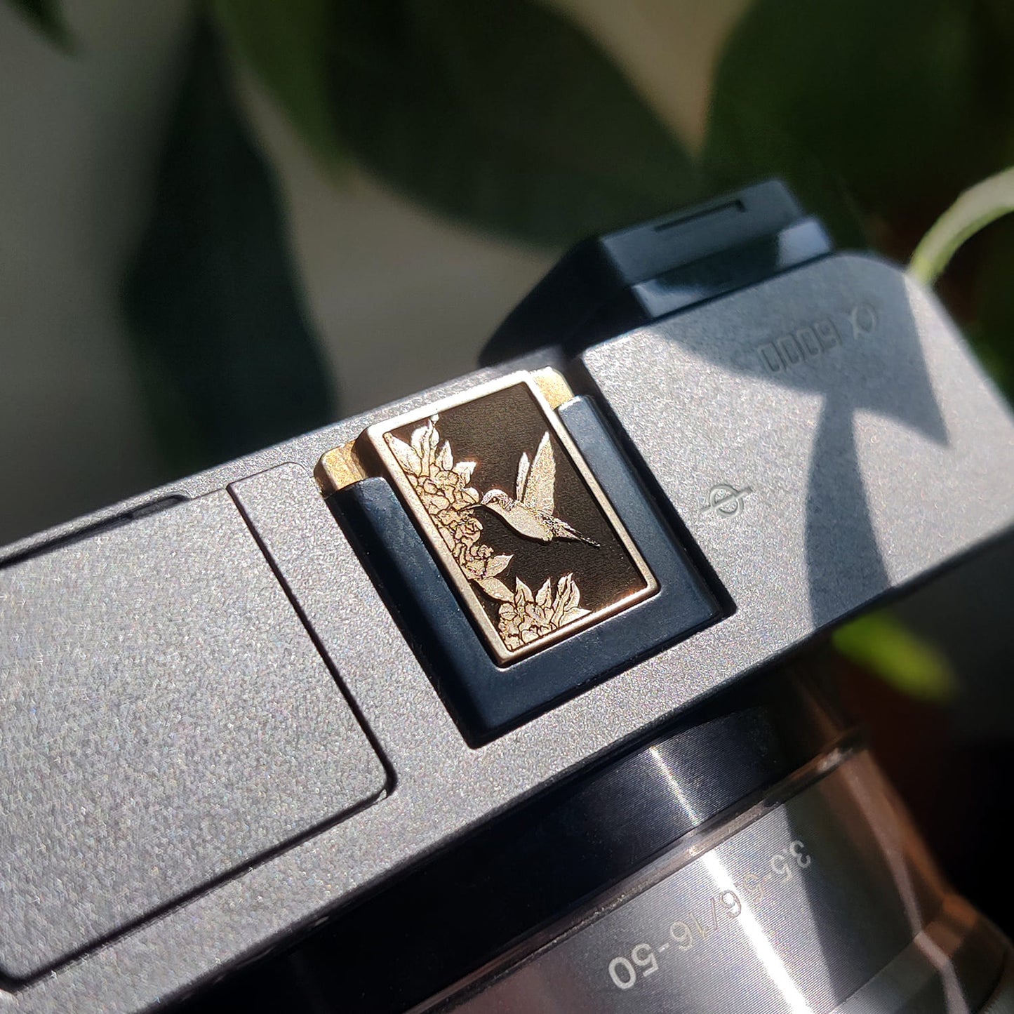 Cubierta de zapata para cámara Zelda