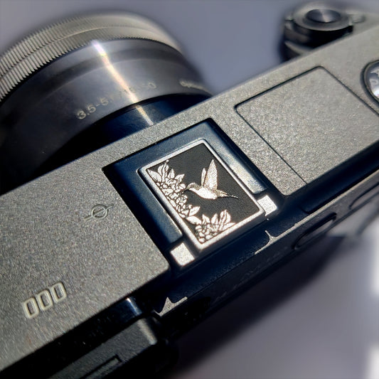 Hummingbird camera hot shoe cover silver