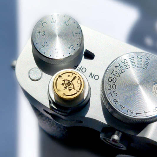 Zelda camera shutter button top